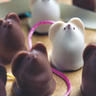 Burdick Handmade Chocolates